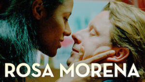 Rosa Morena