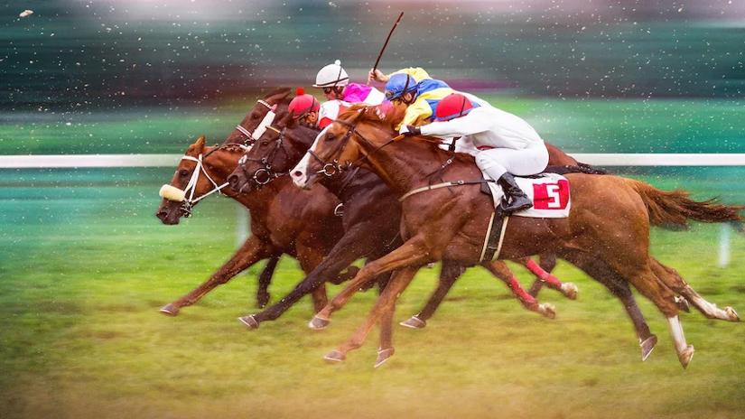 Immagine tratta da Race for the crown - I re delle corse di cavalli