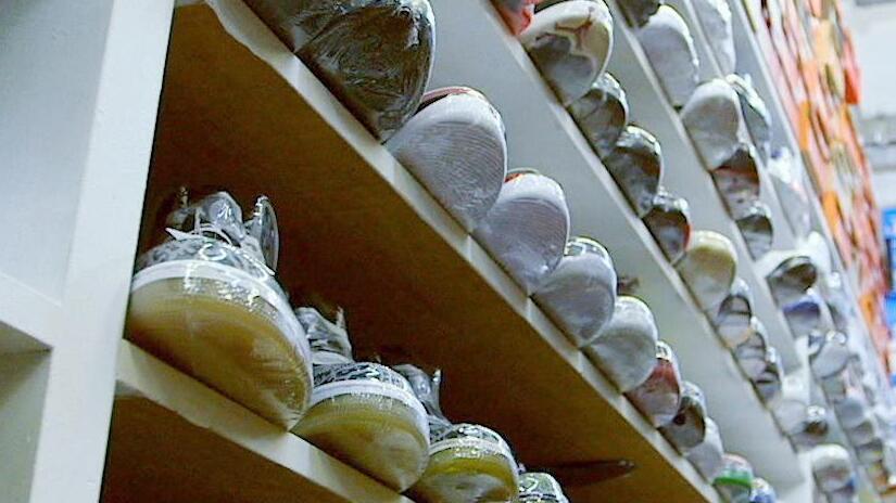Immagine tratta da Sneakerheadz