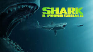 Shark - Il primo squalo