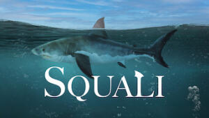 Squali