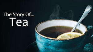 Story of…Tea