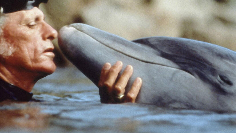 Immagine tratta da The Cove