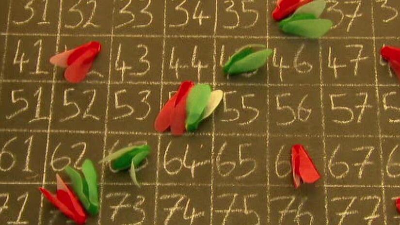 Immagine tratta da The Code