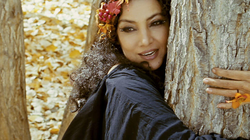 Immagine tratta da The Wishing Tree