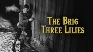 The Brig Three Lilies