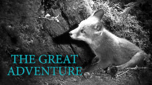 The Great Adventure
