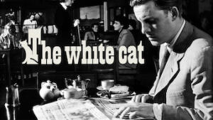 The White Cat