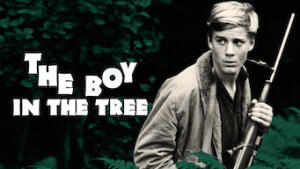 The Boy in the Tree