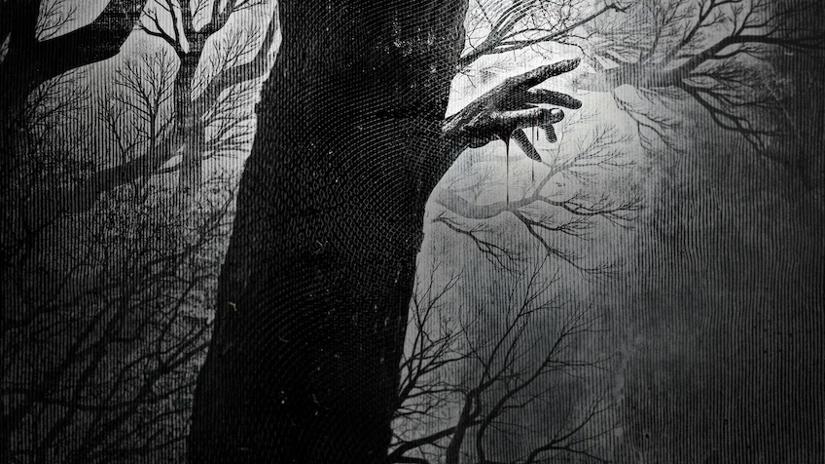 Immagine tratta da True Haunting