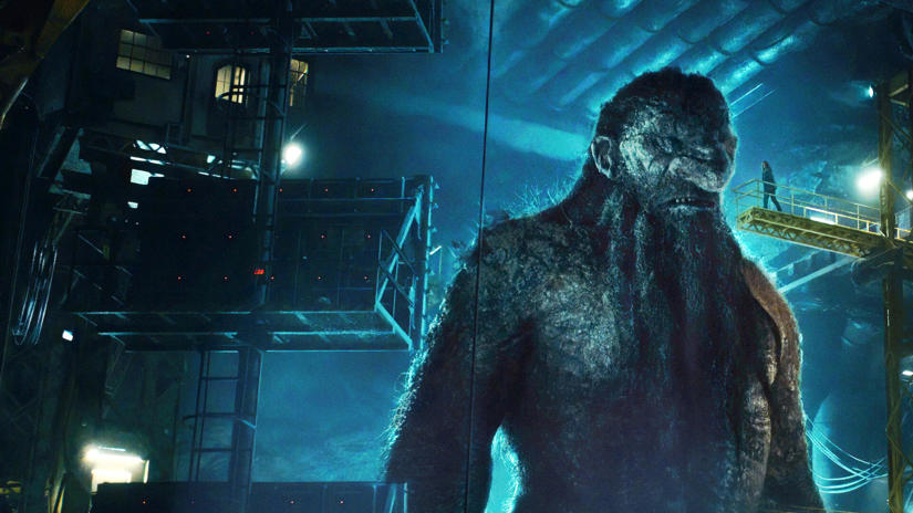 Immagine tratta da Troll 2 Immagine tratta da Troll 2