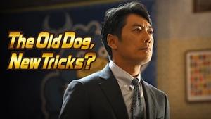 The Old Dog, New Tricks?