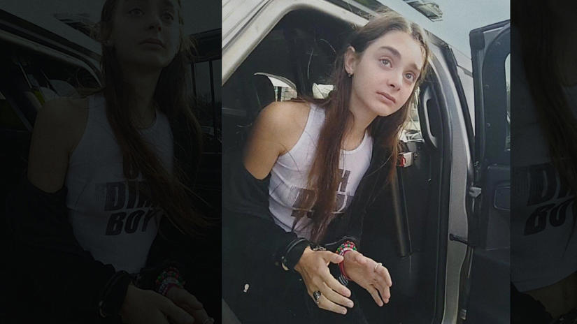Immagine tratta da The Crash: incidente o omicidio?