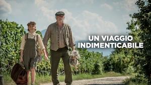 Un viaggio indimenticabile