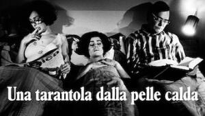 Una tarantola dalla pelle calda