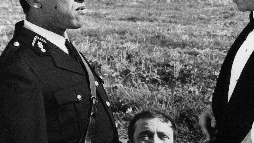 Una mucca top secret Film 1966 streaming cast regista trama