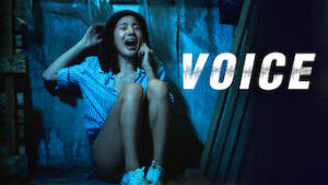 Voice