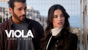 Viola come il mare