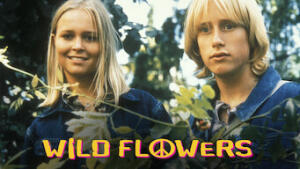 Wild Flowers