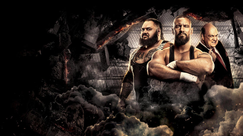 Immagine tratta da WWE Survivor Series
