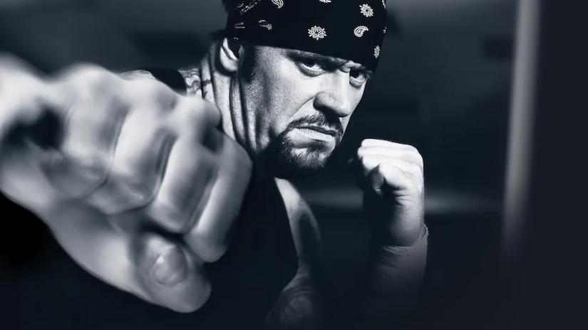 Immagine tratta da WWE Vengeance