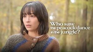 Who Saw the Peacock Dance in the Jungle?